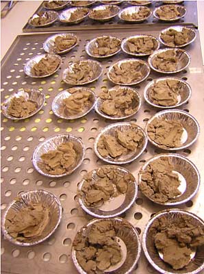 	Wet samples from the core are kiln-dried and then analysed	
