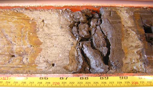 	Wet samples from the core are kiln-dried and then analysed	